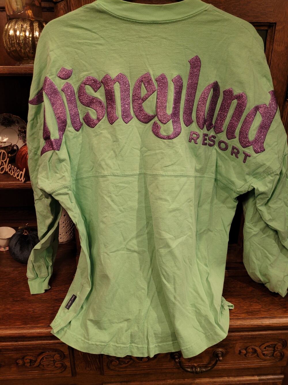 Disney Park Disneyland Ariel Spirit Jersey Mint Green Purple Glitter Shell Small